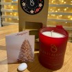 Ενεργοποιημένο Κερί Σόγιας Christmas Blend Κόκκινο