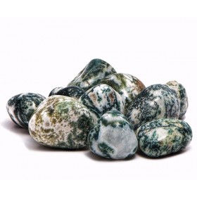 Tree Agate