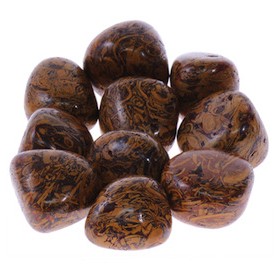 Snakeskin Jasper