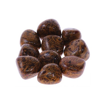 Snakeskin Jasper
