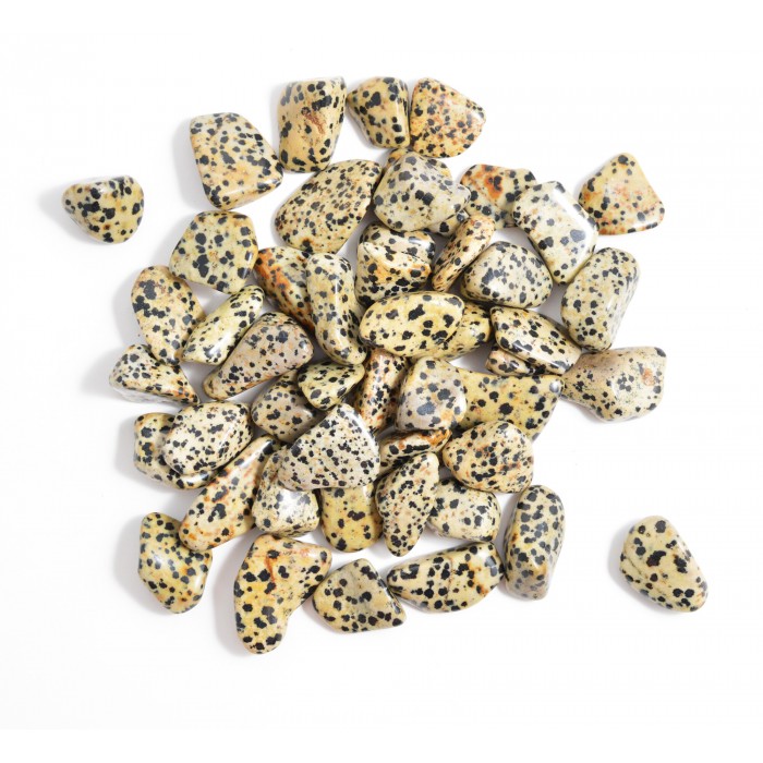 Dalmatian Jasper