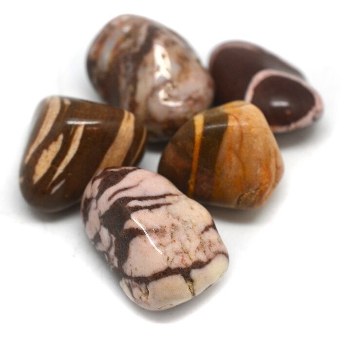 Zebra Jasper