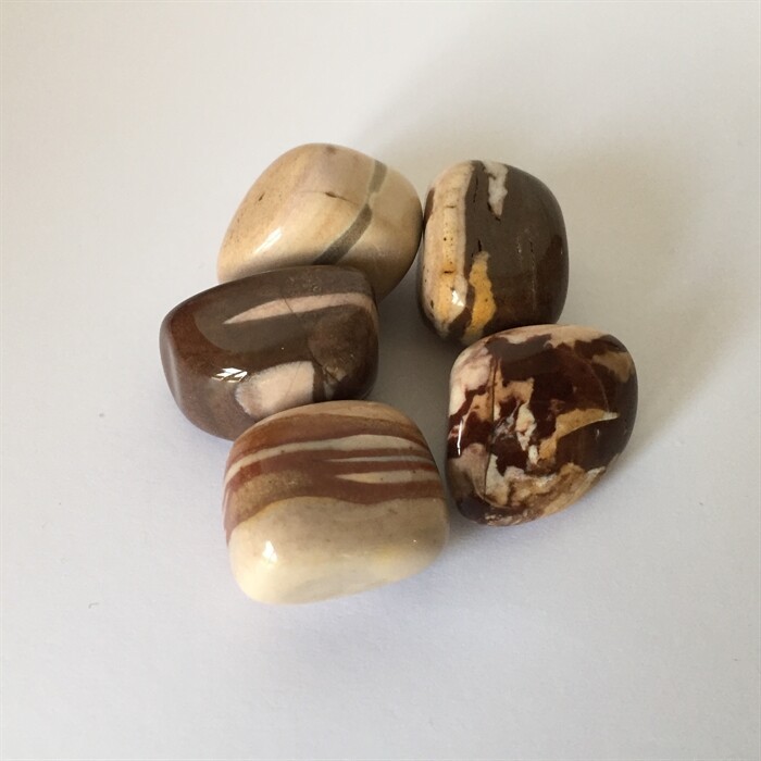 Zebra Jasper