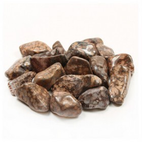 Leopard Skin Jasper